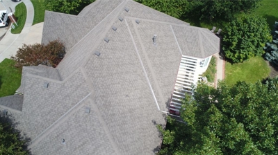 Laminated Architectural Shingles Photo