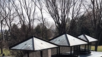 Luxury Asphalt Shingles Photo