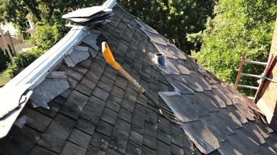 Luxury Asphalt Shingles Photo