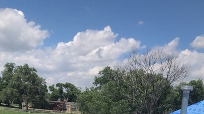 Luxury Asphalt Shingles Photo