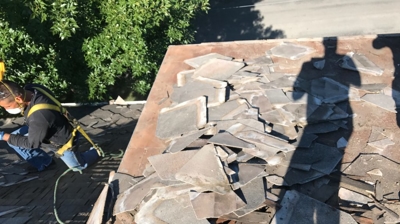 Luxury Asphalt Shingles Photo