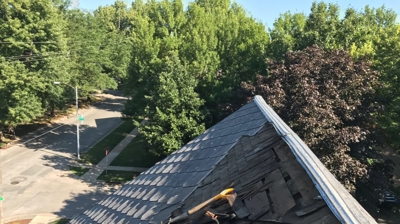 Luxury Asphalt Shingles Photo