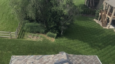 Luxury Asphalt Shingles Photo