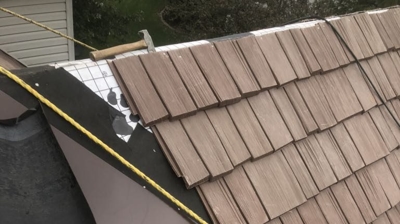 Synthetic Roofs Photo