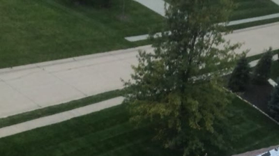 Synthetic Roofs Photo