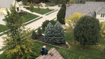 Synthetic Roofs Photo