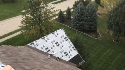 Synthetic Roofs Photo