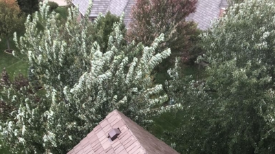 Synthetic Roofs Photo